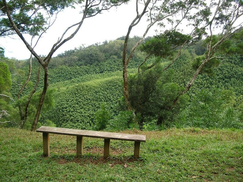 Viewpoint on the Waikamoi Nature Trail, Maui- write to aspire
