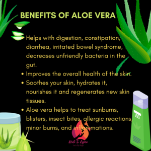 Medicinal Benefits of Aloe Vera