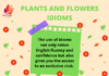 flower idioms-write to aspire