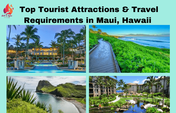 top tourist attractions in Maui- write to aspire