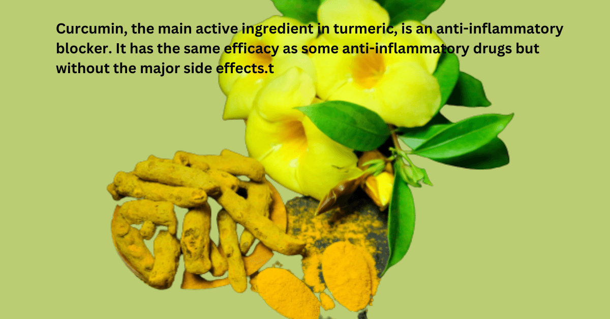 anti inflammatory herbs-write to aspire